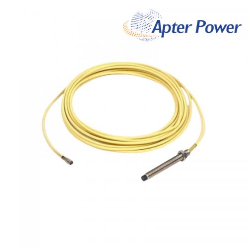21504-00-40-10-02 Standard Mount Probe