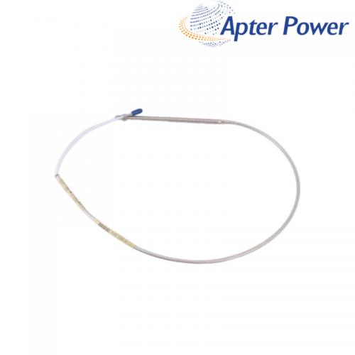 330909-00-80-10-01-00 3300 NSv Probe