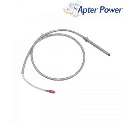 22810-00-05-10-02 SENSOR PROBE